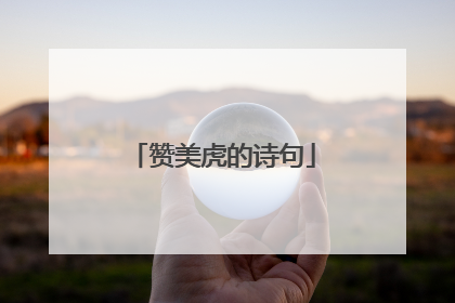 赞美虎的诗句