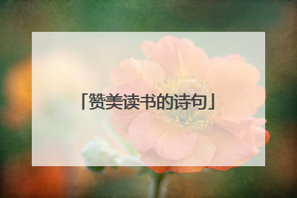 赞美读书的诗句