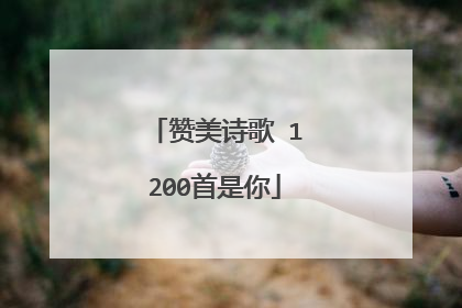 赞美诗歌 1200首是你