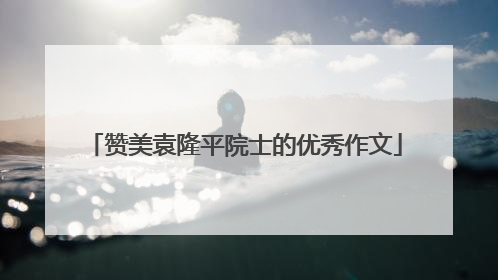 赞美袁隆平院士的优秀作文
