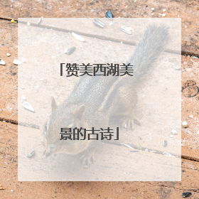赞美西湖美景的古诗
