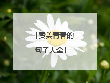 赞美青春的句子大全