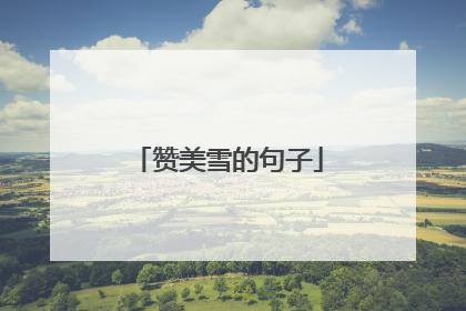 赞美雪的句子