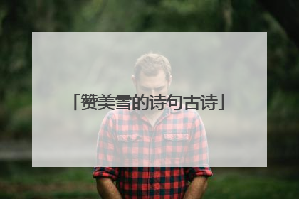 赞美雪的诗句古诗