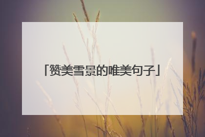 赞美雪景的唯美句子