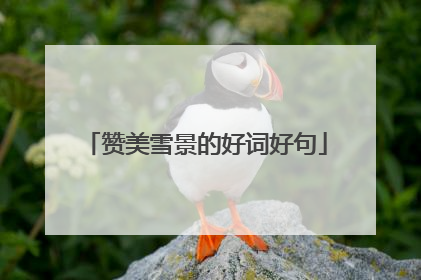 赞美雪景的好词好句