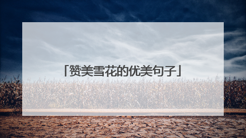 赞美雪花的优美句子
