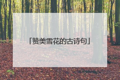 赞美雪花的古诗句