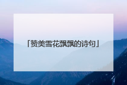 赞美雪花飘飘的诗句