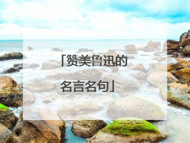 赞美鲁迅的名言名句