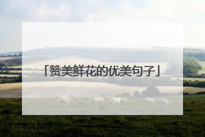 赞美鲜花的优美句子