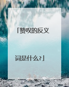 赞叹的反义词是什么?