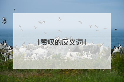 赞叹的反义词
