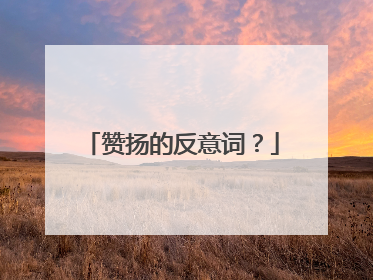 赞扬的反意词?