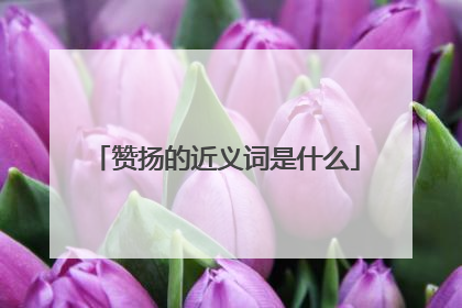 赞扬的近义词是什么
