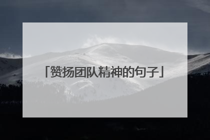 赞扬团队精神的句子