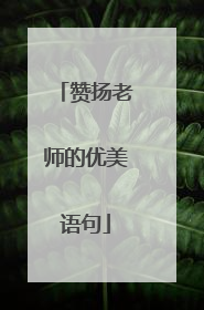 赞扬老师的优美语句