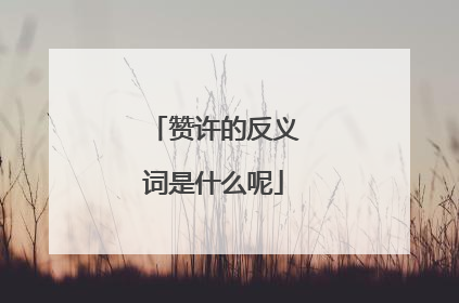 赞许的反义词是什么呢