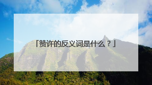 赞许的反义词是什么？