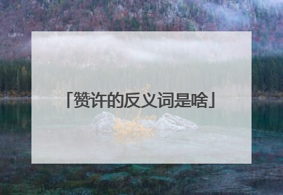 赞许的反义词是啥