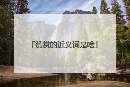赞赏的近义词是啥