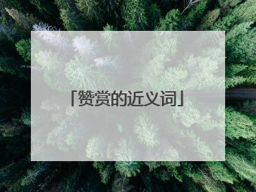 赞赏的近义词