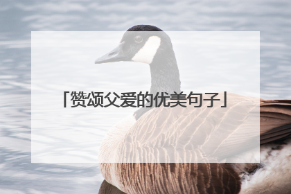 赞颂父爱的优美句子