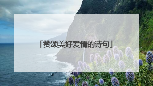 赞颂美好爱情的诗句