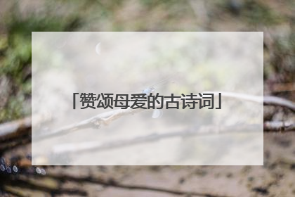 赞颂母爱的古诗词