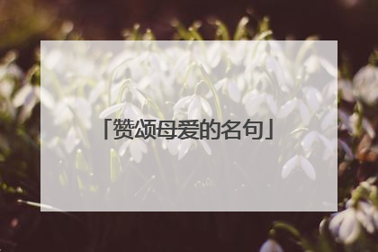 赞颂母爱的名句