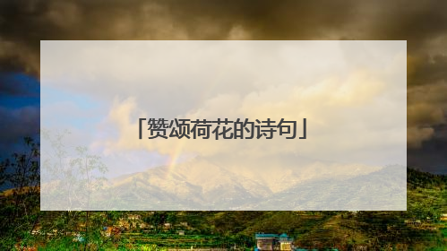 赞颂荷花的诗句