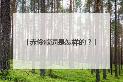 赤伶歌词是怎样的？