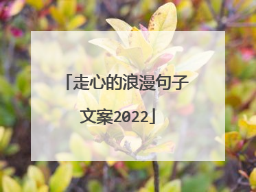 走心的浪漫句子文案2022