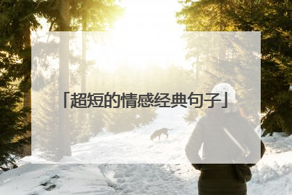 超短的情感经典句子