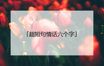 超短句情话六个字