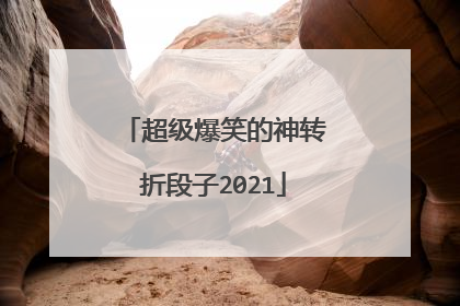 超级爆笑的神转折段子2021