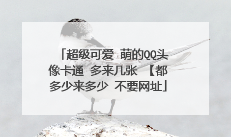 超级可爱 萌的QQ头像卡通 多来几张 【都多少来多少 不要网址
