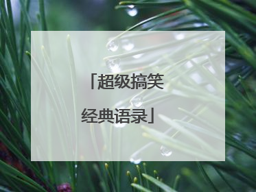 超级搞笑经典语录