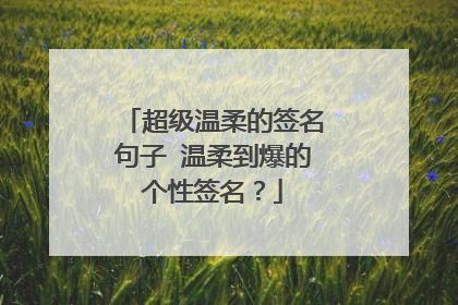 超级温柔的签名句子 温柔到爆的个性签名？