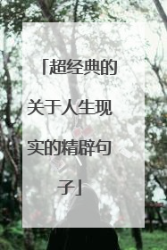 超经典的关于人生现实的精辟句子