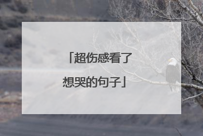 超伤感看了想哭的句子