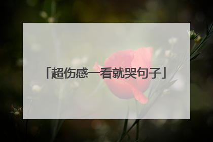 超伤感一看就哭句子
