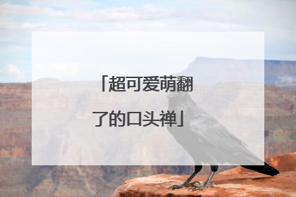 超可爱萌翻了的口头禅