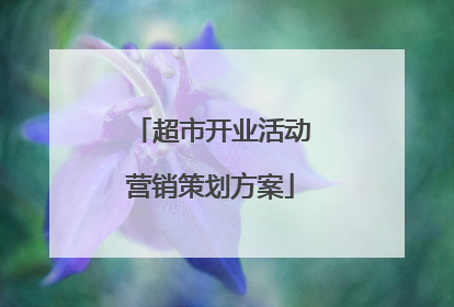 超市开业活动营销策划方案
