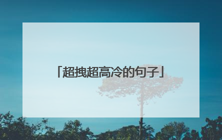 超拽超高冷的句子