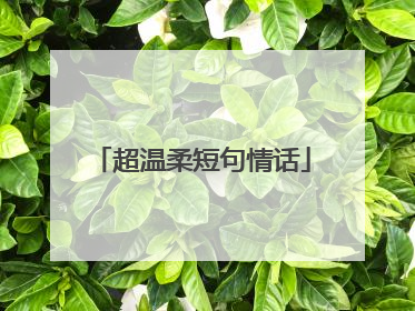 超温柔短句情话