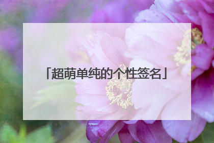 超萌单纯的个性签名