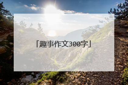 趣事作文300字