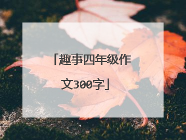 趣事四年级作文300字