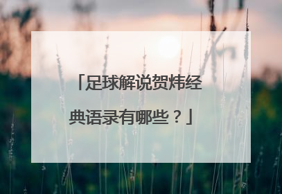 足球解说贺炜经典语录有哪些？